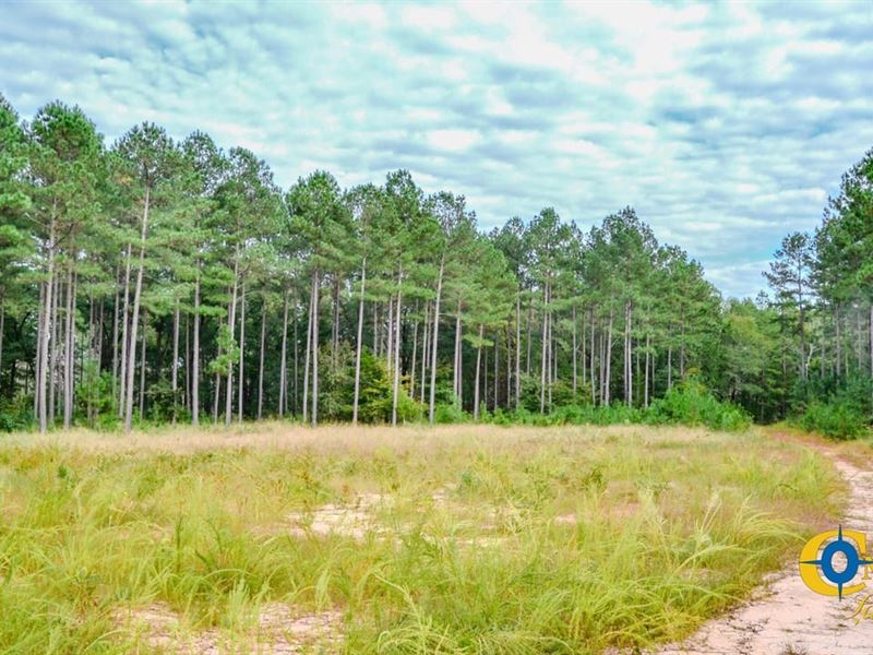 Padgetts Creek Tract : Union : Union County : South Carolina