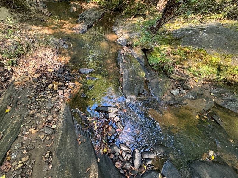70 Ac, Managed Pine Plantation : Camp Hill : Tallapoosa County : Alabama