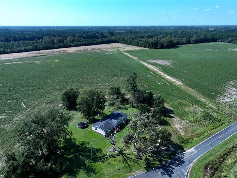 Farm Land for Sale : Fairmont : Robeson County : North Carolina