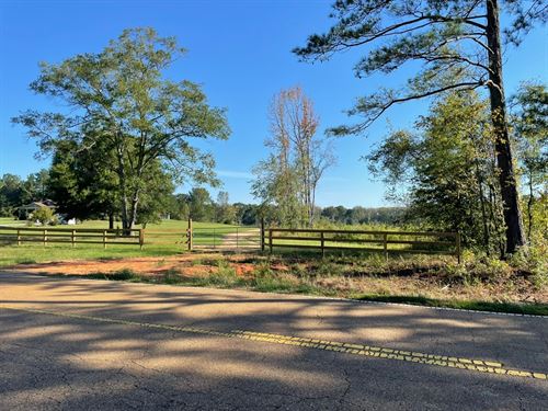 77 Acres In Winston County, MS : Nanih Waiya : Winston County : Mississippi