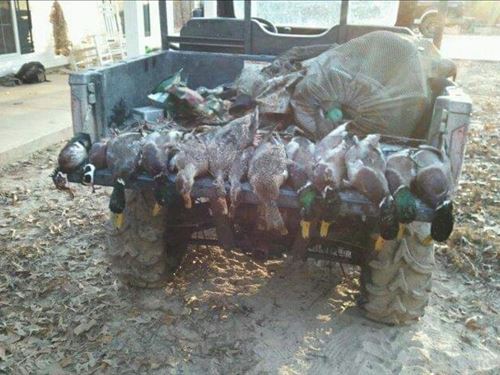 Hunting And Timberland For Sale : West Monroe : Ouachita Parish : Louisiana