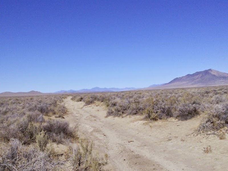 Invest Now, Desert Bliss Prime Land, Ranch for Sale by Owner in Nevada