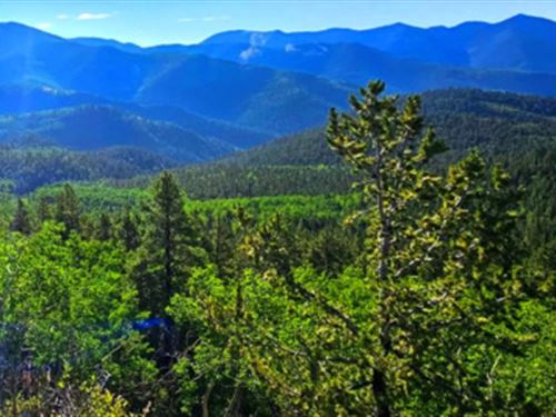 Lakeside Forest Sanctuary : Gunnison : Colorado