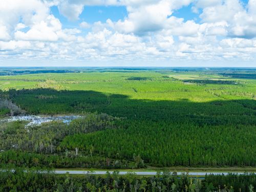 Hilliard Trans Timberland Tract : Hilliard : Nassau County : Florida