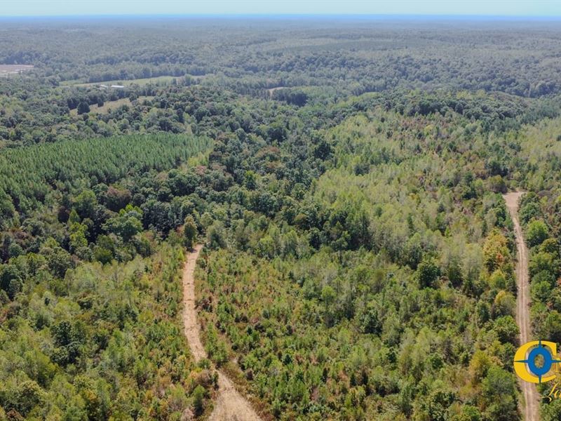 Hurricane Southeast Tract 1 : Stewart : Stewart County : Tennessee