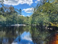 31+ Acres on St Marys River : Saint George : Charlton County : Georgia