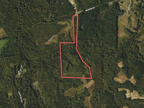 41.27 Acres of Re : Blanch : Caswell County : North Carolina