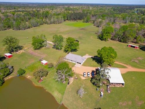 192 Acres Of Land With 3 Br Hunting : Liberty : Amite County : Mississippi