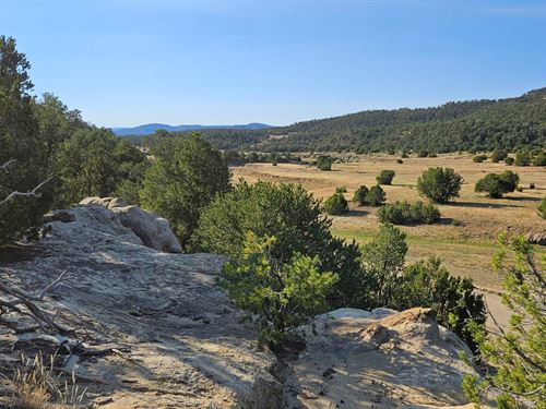 County Rd 53.5, Trinidad, CO 81 : Trinidad : Las Animas County : Colorado