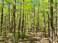 Weoka Sanctuary : Weoka : Elmore County : Alabama