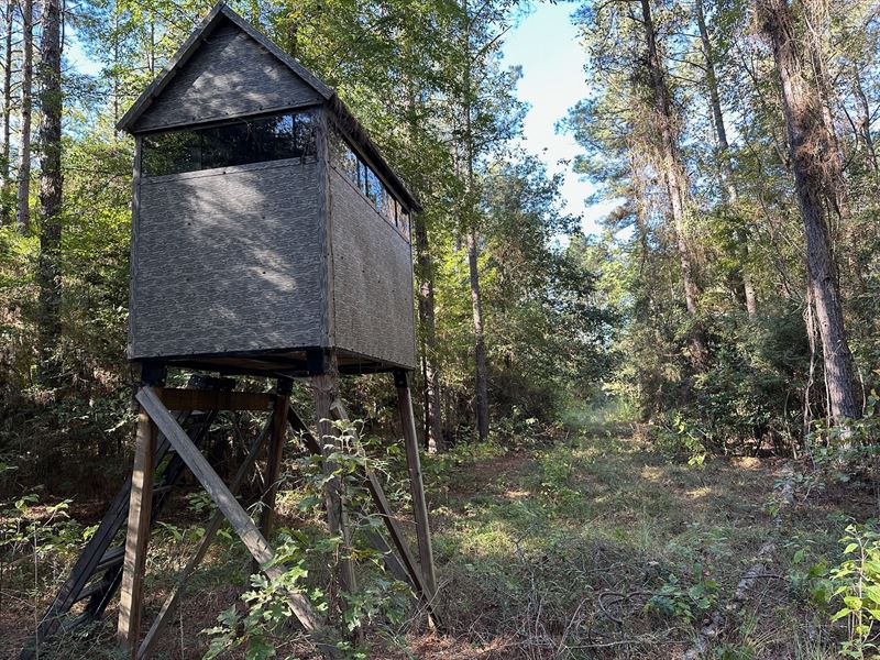 Hunting and Timberland Tract for sa : Grayson : Caldwell Parish : Louisiana