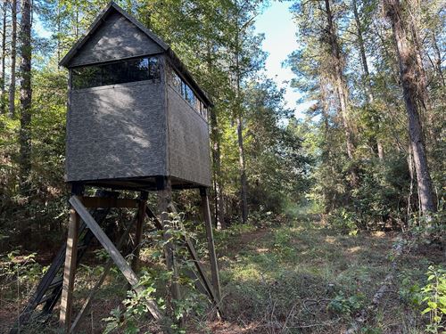 Hunting And Timberland Tract For sa : Grayson : Caldwell Parish : Louisiana