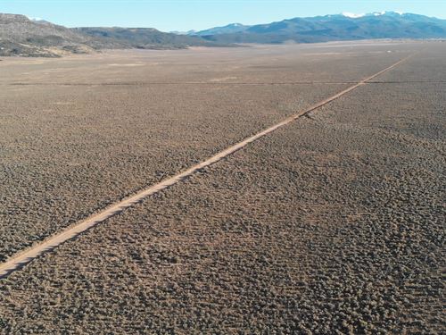 Cash Only Deal, 40 Acres for Sale : San Luis : Costilla County : Colorado