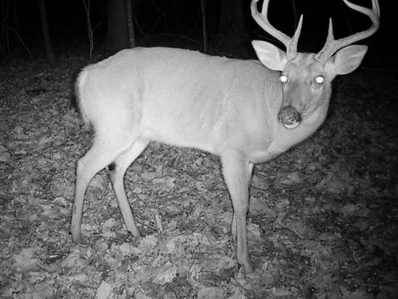 La, Caldwell 40 Acres : Kelly : Caldwell Parish : Louisiana