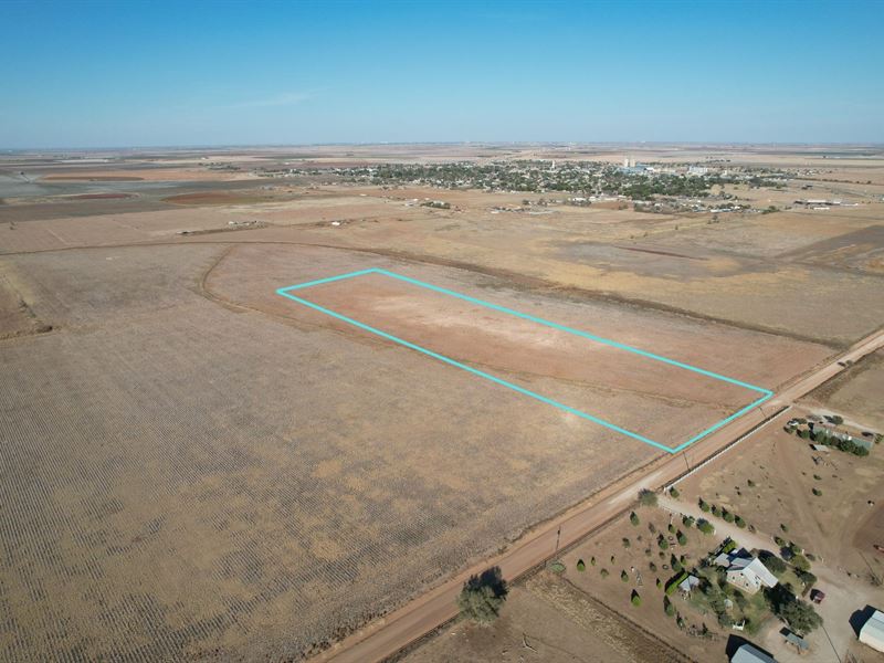 10 Acres in Hale County : Hale Center : Hale County : Texas