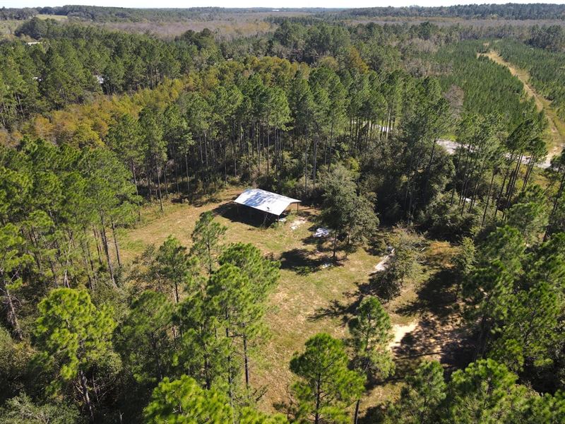 20 Acres Holmes County, FL : Bonifay : Holmes County : Florida