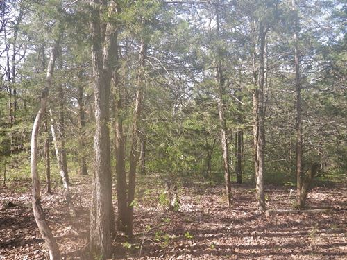 Wooded Acreage for Sale, Private : Elk Creek : Texas County : Missouri