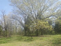 Wooded Acreage for Sale, Private : Elk Creek : Texas County : Missouri