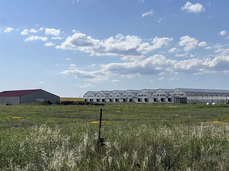 Yoder Farms and Greenhouses : Yoder : El Paso County : Colorado