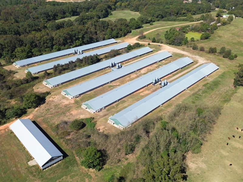 Productive 6Hse Broiler Poultry Frm : Hartwell : Hart County : Georgia