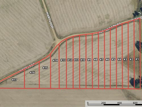 La, Tensas Buckhorn Subdivision CA : Newellton : Tensas Parish : Louisiana