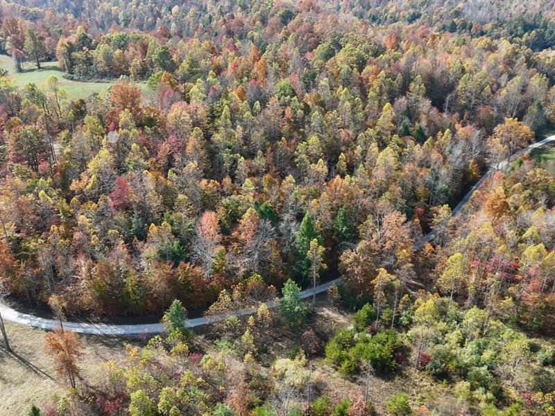85 Acre Hunting Tract in Morehead : Morehead : Rowan County : Kentucky