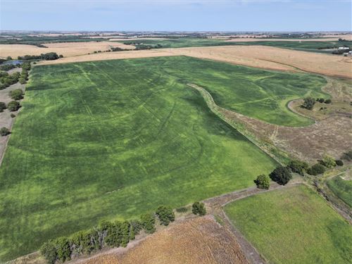 107 Acres, Gage County, Hutchinson : Beatrice : Gage County : Nebraska