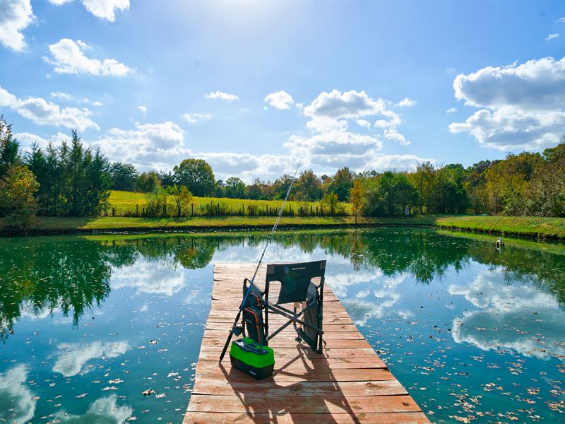 Copper Sky Farm Sanctuary : Peachland : Anson County : North Carolina