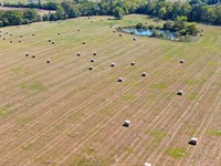 3-050 Pike Road Estate Lot : Pike Road : Montgomery County : Alabama