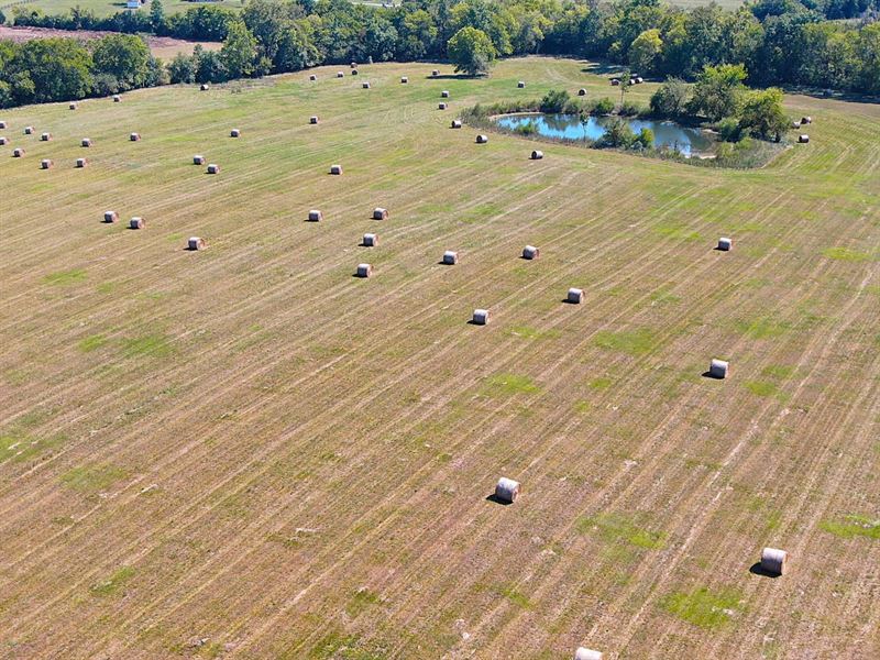 3-050 Pike Road Estate Lot : Pike Road : Montgomery County : Alabama