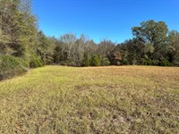 Peaceful Valley 89 : Dover : Pope County : Arkansas