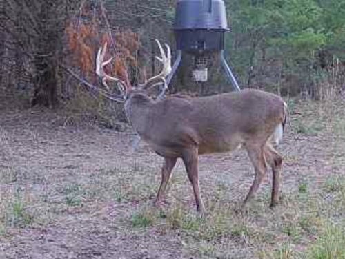 3-051 Hall Brothers Farm : Montgomery : Alabama