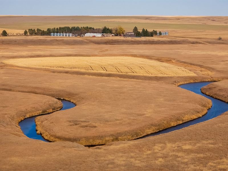 The Farm at Cedar Creek : Reeder : Adams County : North Dakota