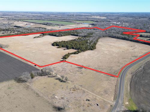 Heavily Wooded Acreage NE TX : Roxton : Lamar County : Texas