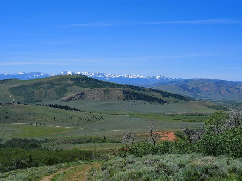 King's Canyon 35 : Cowdrey : Jackson County : Colorado