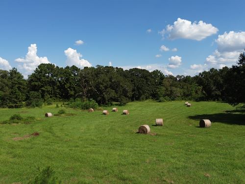 Bailey Grove Road : Montgomery : Texas