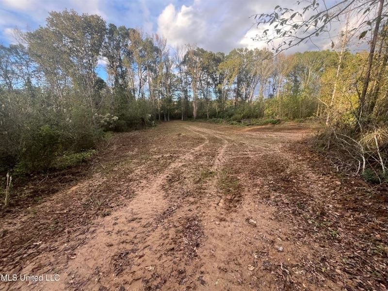 14 Acre Commercial Property in Raym : Raymond : Hinds County : Mississippi