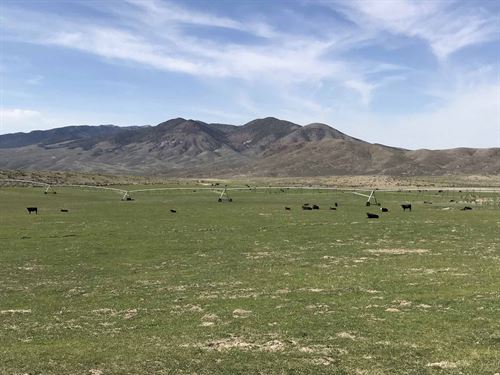 Hat Springs Ranch : Malta : Cassia County : Idaho