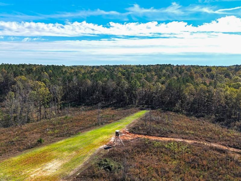 Newton County Ross 85 : Union : Newton County : Mississippi