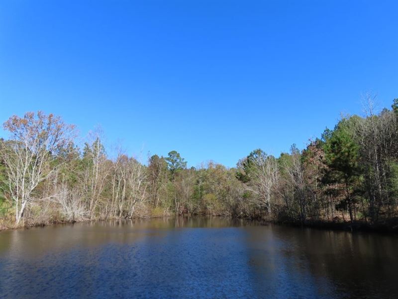 On Saluda River, Private Pond : Newberry : Newberry County : South Carolina