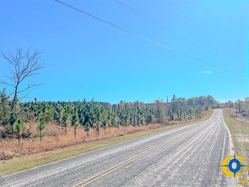 Mt. Pisgah Tract : Jefferson : Kershaw County : South Carolina