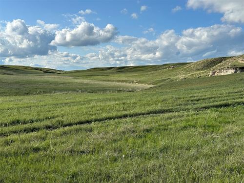 1,407 Acres, Elk Haven Grass : Chadron : Dawes County : Nebraska