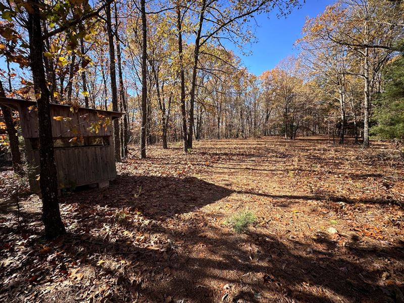 120 Wooded Acres, Hunting Prope : Cave City : Sharp County : Arkansas