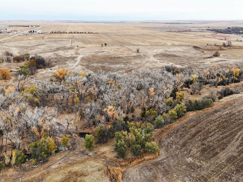 Prairie Dog Creek Farm and Hunt : Jennings : Decatur County : Kansas