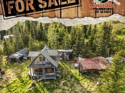 Lost Creek Ranch : Ninilchik : Kenai Peninsula Borough : Alaska