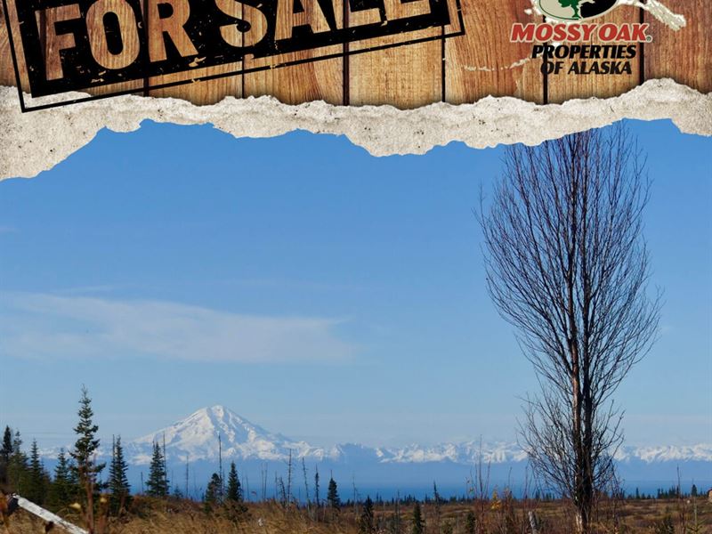 Lost Creek Ranch : Ninilchik : Kenai Peninsula Borough : Alaska