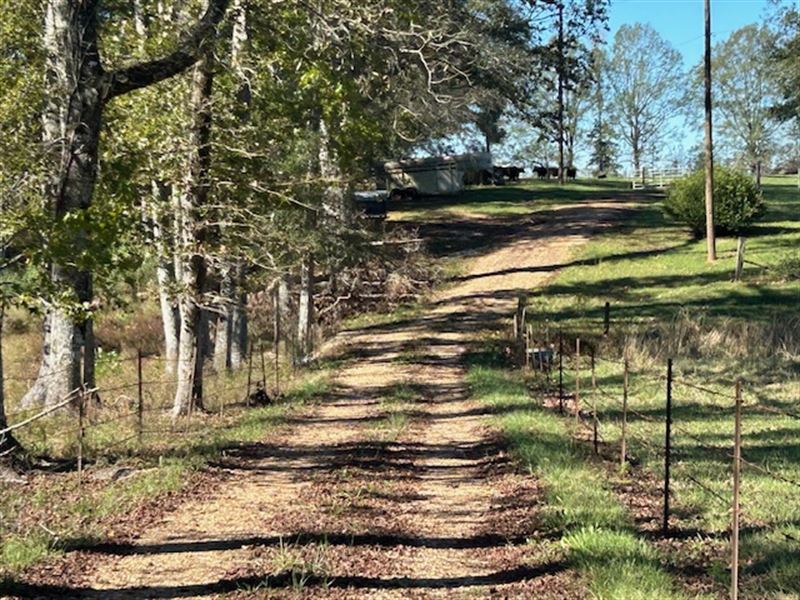 Farmland with 52.81 Acres, Magnoli : Magnolia : Pike County : Mississippi