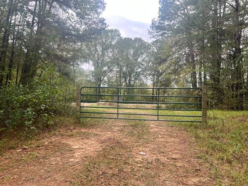 212 Acres In Amite County, MS : Crosby : Amite County : Mississippi