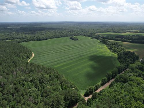 202.43 Acres in Attala County, MS : Sallis : Attala County : Mississippi