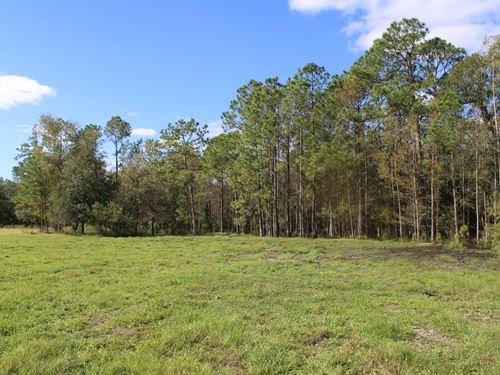 Polk City Ranchette : Polk City : Polk County : Florida